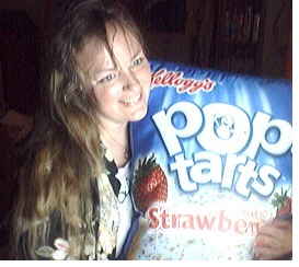 pop tart pillow