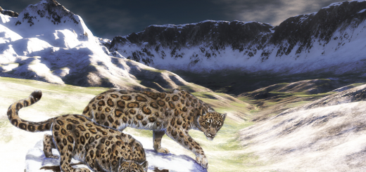 snow leopard post work in Terragen