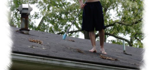 Cleaning the Roof