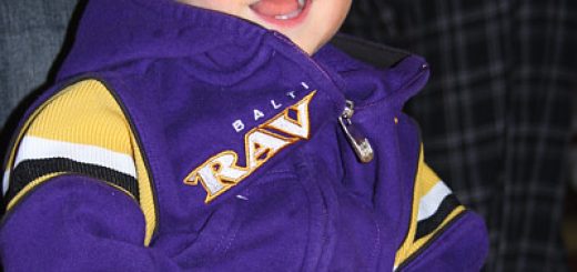 My Little Raven’s Fans