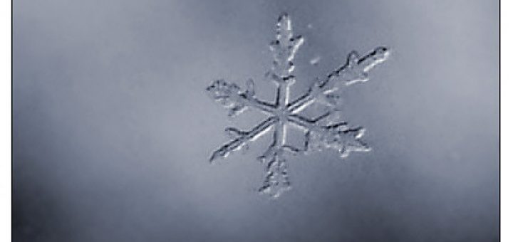First Snowflake