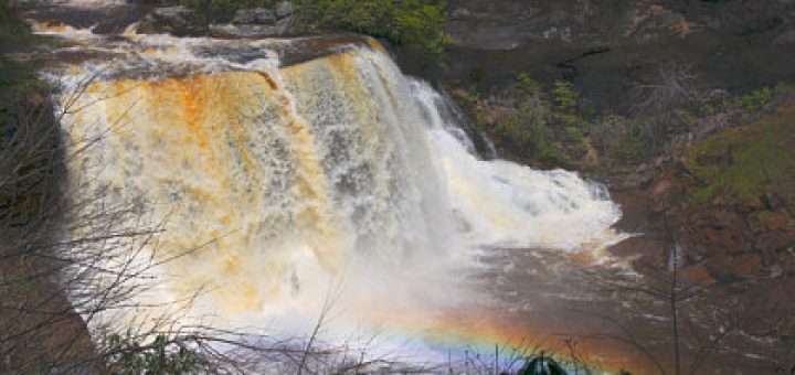 Blackwater Falls