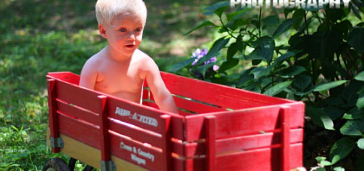 Silas in wagon