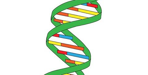 dna