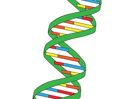 dna