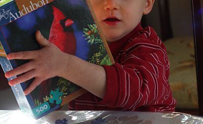 Silas and the Cardinal Puzzle