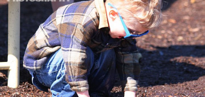 The Park and Mud