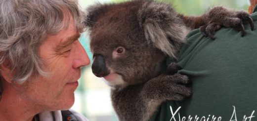 John nuzzling a koala