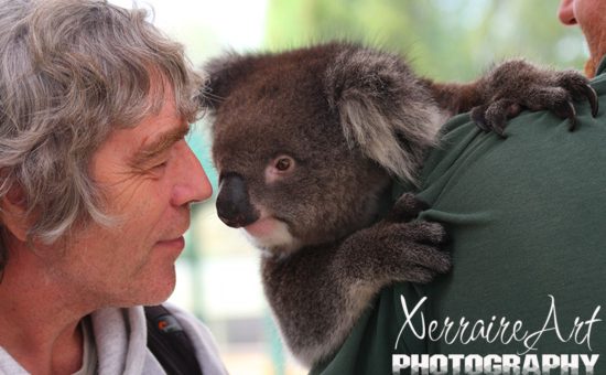 John nuzzling a koala