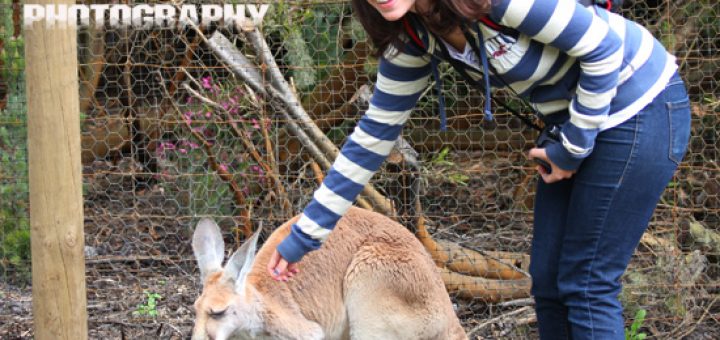 Laura with the Kangaroo at Caversham