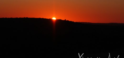 Sunrise at Wave Rock