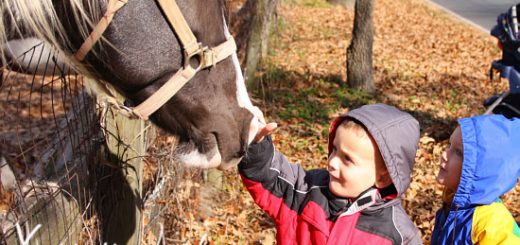 Cam and Silas in Leaves and visiting the horses