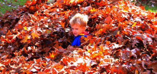 Silas in the leaves