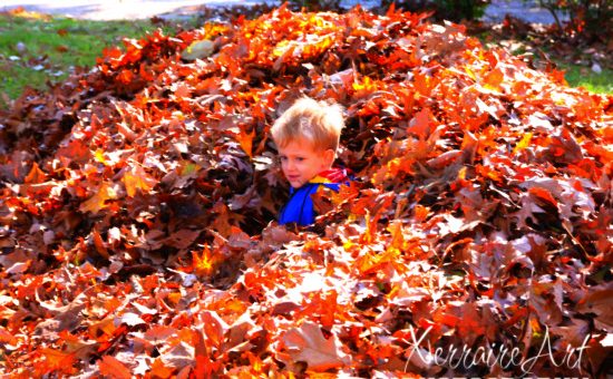 Silas in the leaves