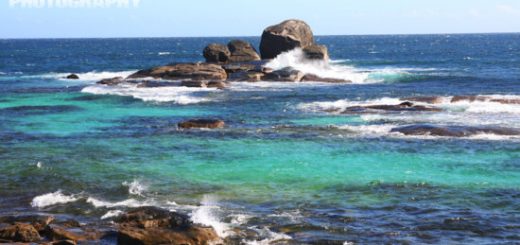 Beaches and Boranup Forest