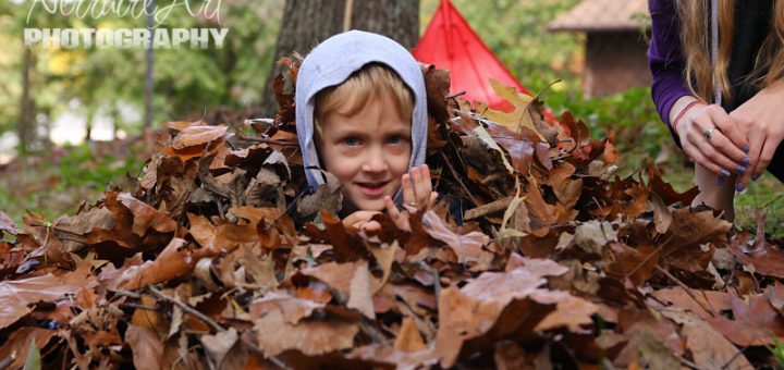 Silas in the leaves