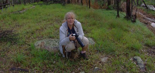 Barb and camera