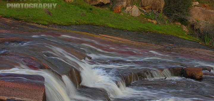 John Forrest