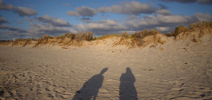 A Walk on the Beach