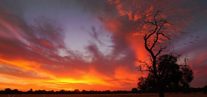 whiteman park sunset