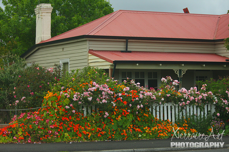 Donnybrook is the home of Western Australia's apple industry. In 1900, the first Granny Smith apple tree was planted, and the apple orchard industry grew after World War