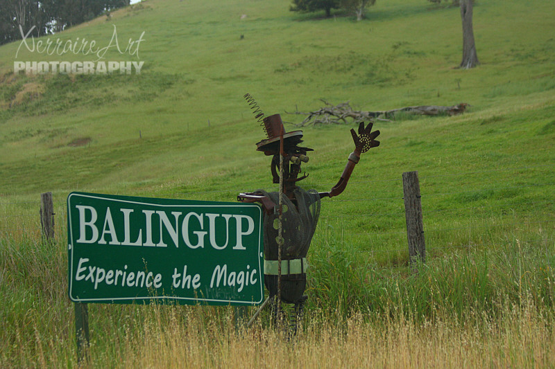 The town takes its name from Balingup Pool, located on the Balingup Brook which flows through the town. The name was first recorded by a surveyor in 1850, and is said to be derived from the name of Noongar warrior, Balingan.