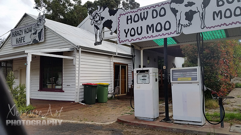 he name is taken from the nearby Mullalyup Brook, and was first noted by John Forrest in 1898. It is Noongar in origin, and apparently means "nose place", as the place where nose-piercing was performed as part of the initiation cycle of young men.