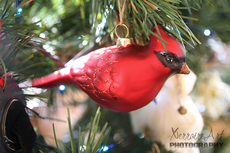 Knowing how much I love birds, they decided on this lovely cardinal tree ornament. I put it right in the front, and that will be its place from now on.
