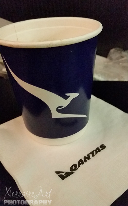 A meal, some cups of coffee, a few movies, and some snoozes later, I was finally at Dallas Fort Worth Airport.
