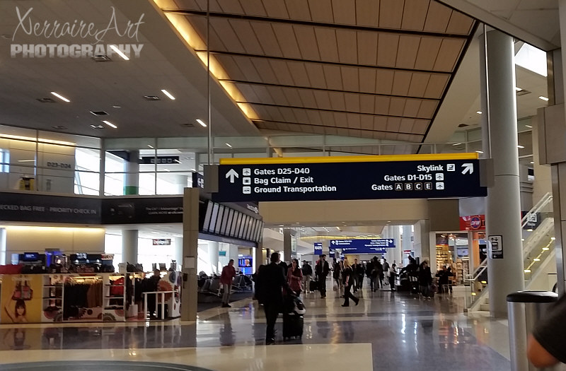 My experiences at Dallas Airport has always been good. So far, I wish all airports had been built like this one. The skyline makes you minutes away from any terminal.