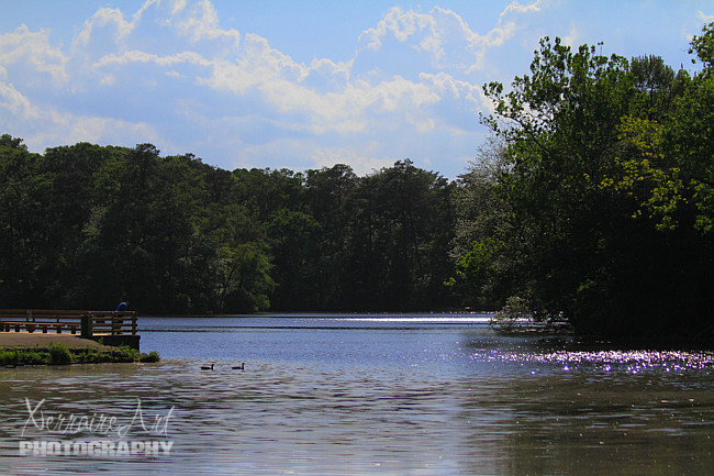 It was a beautiful day to visit the lake.