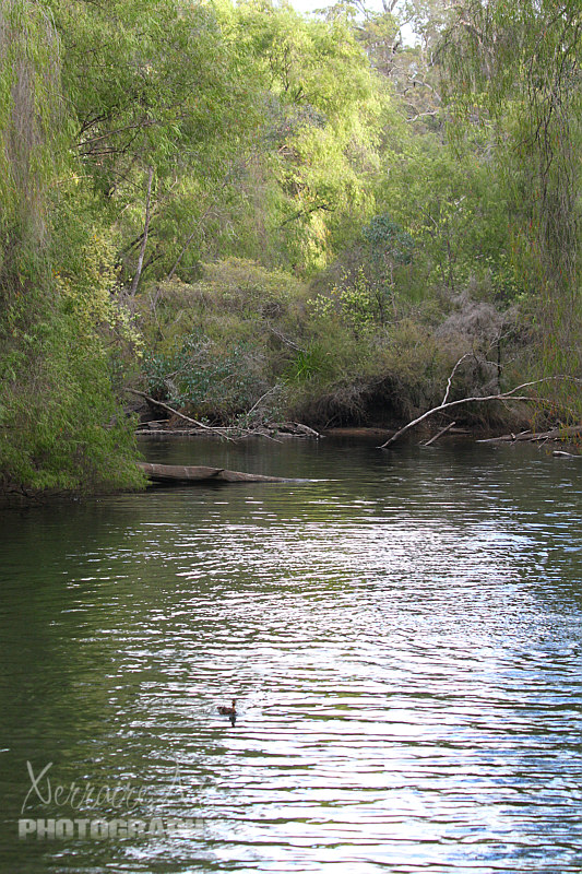 Turns out it's a campsite by Stone's Brook.