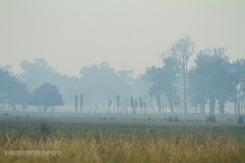 What we didn't expect was the closer we got to Bunbury the more we could smell and then see smoke.