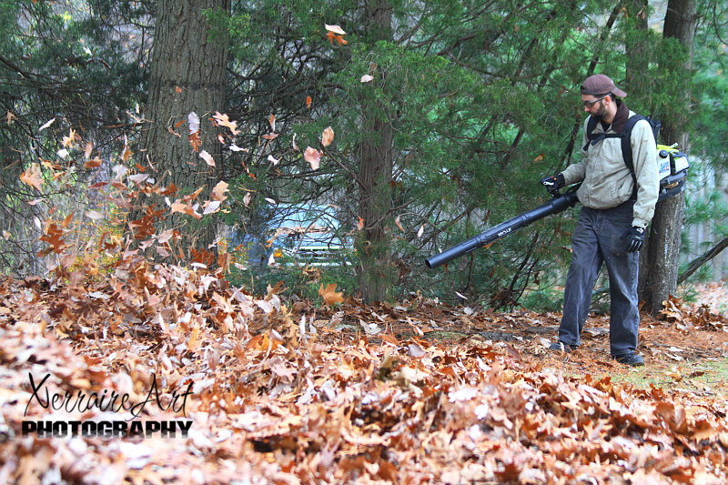 So Enric allocated this day to do the leaves.