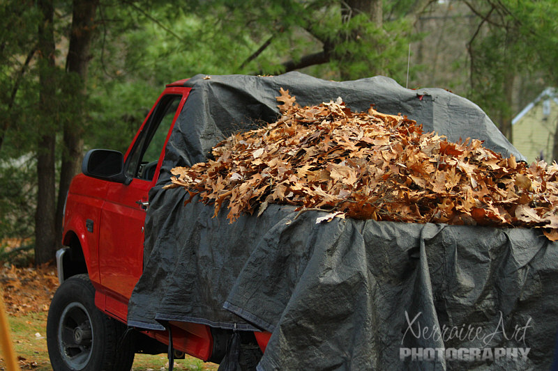 Truck load #1 complete.