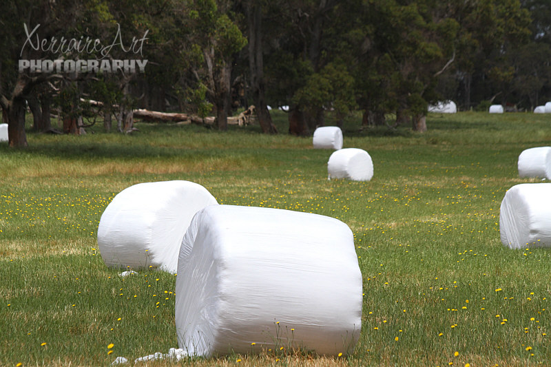 Upon closer inspection, we learn it's just bales of hay being wrapped up to protect from moisture.