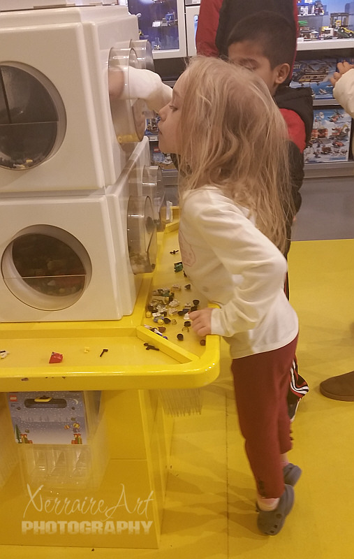 As if the Bass Pro shop wasn't difficult enough to leave, the next obstacle to shopping was the LEGO store.
