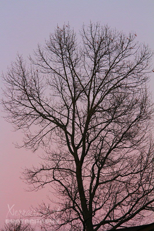 It was that twilight time of evening. Perfect with a chill in the air.
