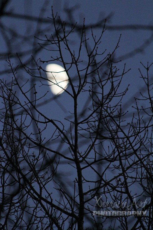 Quickly it gets dark and we spot the moon.