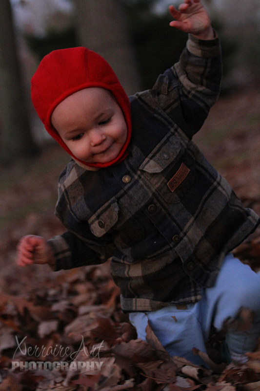 Ezra didn't mind constantly falling into the leaves.