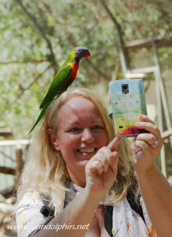 One flew on my head. I tried to get selfie, but failed. Fortunately, John got a shot with his camera.