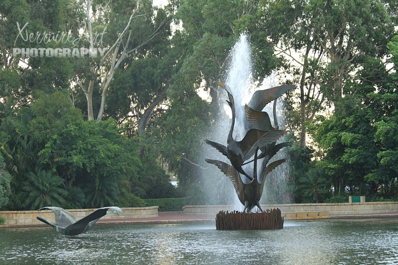swan fountain