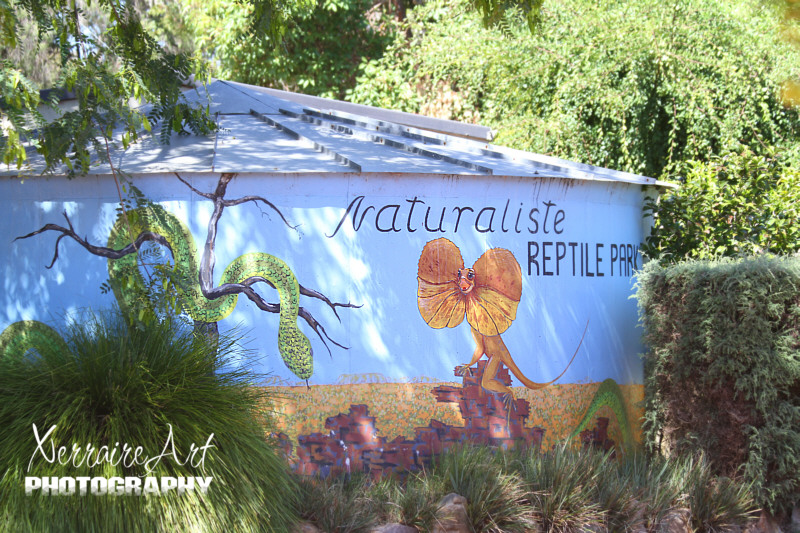 Specifically we went to the Naturaliste Reptile park.