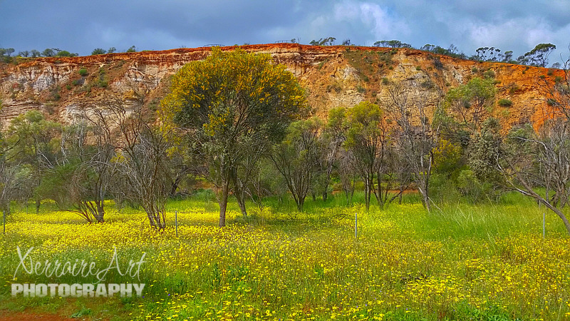 This was as close as we got to the cliffs. Had the weather been better, perhaps we would have hiked closer to see the seam of coal as apparently the grey line is visible from here.
