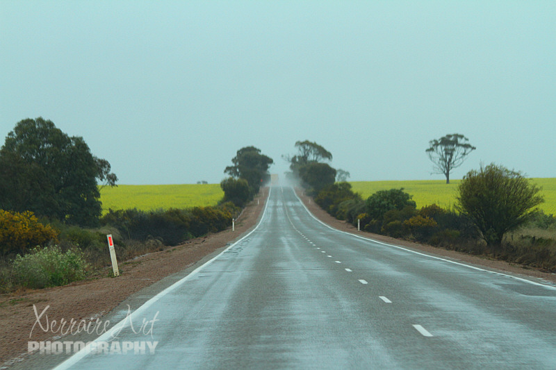 The roads were wet and the horizon didn't hold a lot of promise, but we kept hoping wed drive out of the rain.