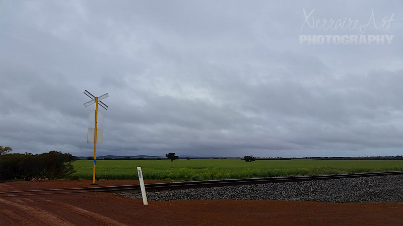 Even though it was dreary, I couldn't help appreciate how lovely Western Australia really is. I asked John to stop so I could take a photo near the railway line.