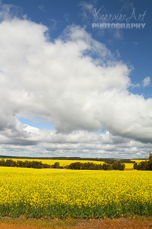 Even though our trip north was totally about the wildflowers and orchids we would see, I am glad we had views like this along the way.