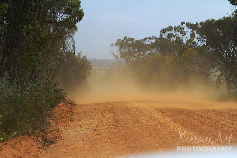 My camera isn't water proof, so at times I stayed inside the truck. Nasty winds were kicking up again.