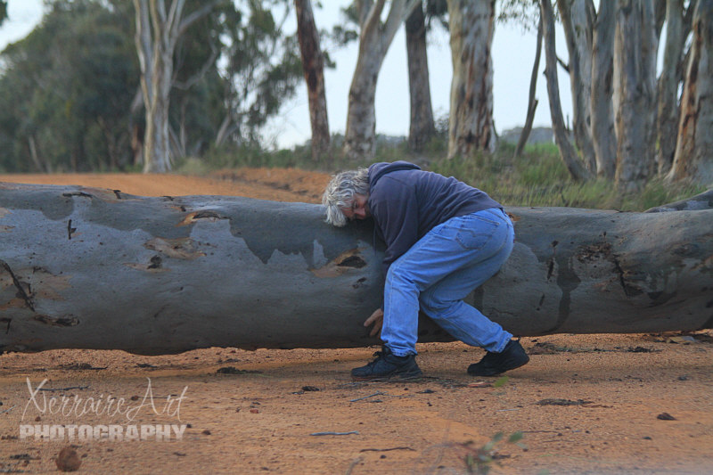 To detour to the other roads was out of the question. John took care of it. :) This is not his first tree hugging photo.