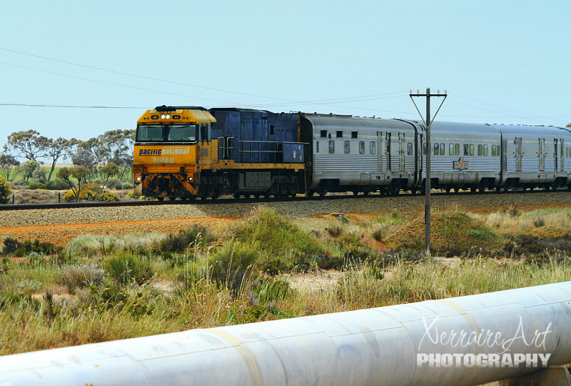 While we were traveling in the area, what a surprise to see The Indian Pacific, an Australian passenger rail service that operates between Sydney, on the Pacific Ocean, and Perth, on the Indian Ocean.